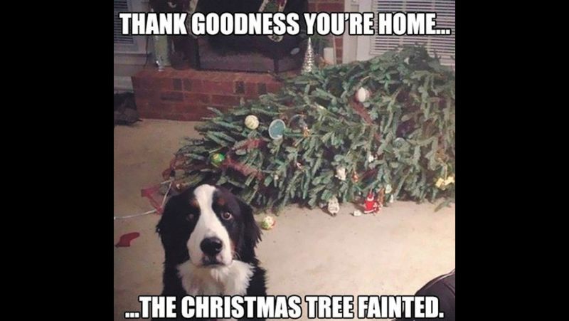 Christmas Contemplations:The Christmas Night Crash post image