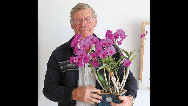 Orchid Show Blooms post image