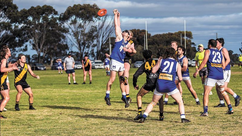 Tigers Roar post image