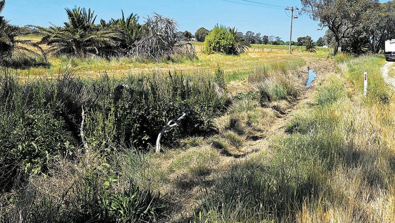 Fatal Truck Crash post image