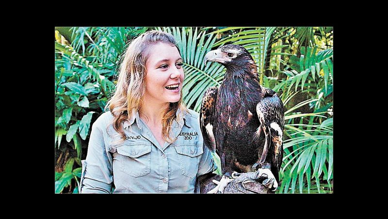 Soaring on Wings like Eagles post image