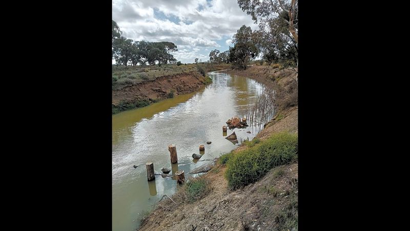 Flows and snags restoring an important waterway post image