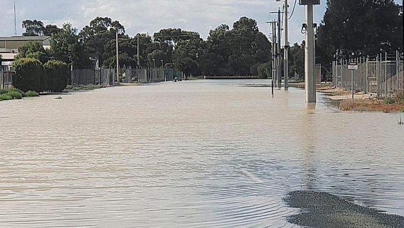 Hot and Dry or Wet and Steamy? post image