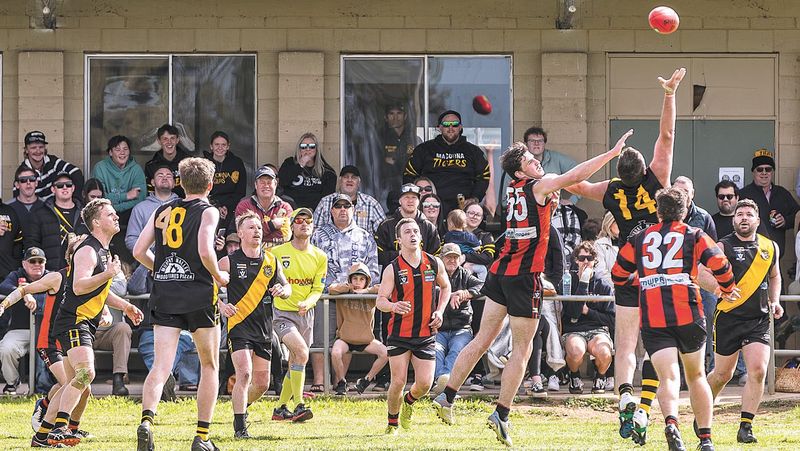 Murrabit is Ready post image