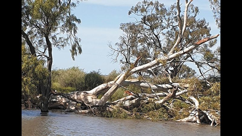 Moulamein Notebook- September 22, 2022 post image