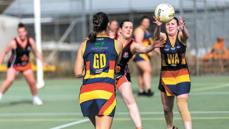 Raiders Netball Results - June 29, 2023 post image