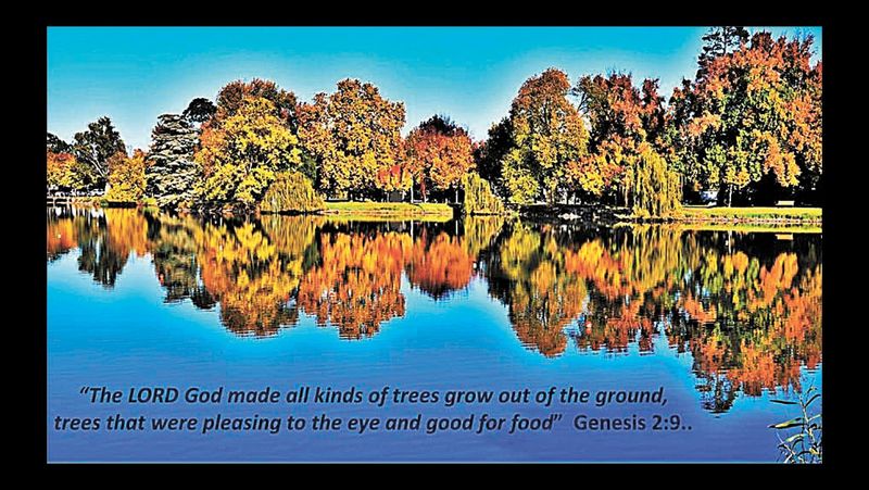 Autumn Delights... post image