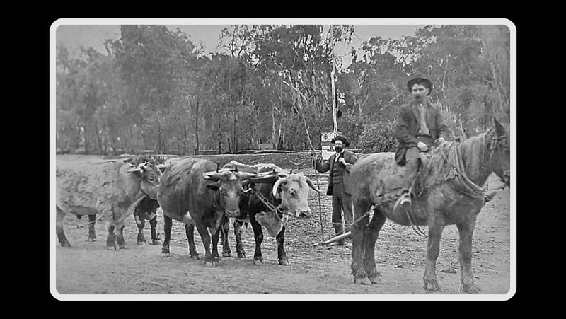 Cohuna’s Roads post image