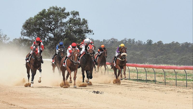 Cup Success at a Steamy Moulamein Race Meet post image
