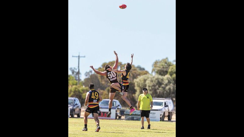 Bassett becomes a Pioneer post image