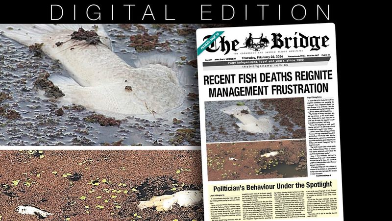 Thursday, February 22, 2024 post image