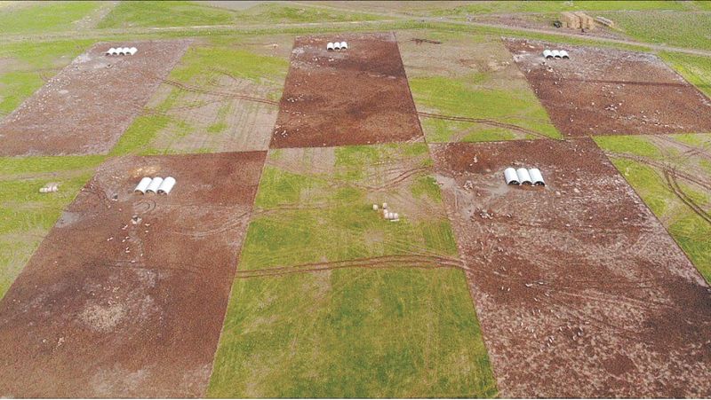 Proposed Piggery Seeks Approval post image