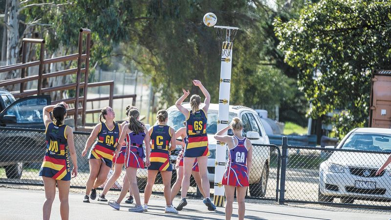 Raiders Netball Results - August 3, 2023 post image