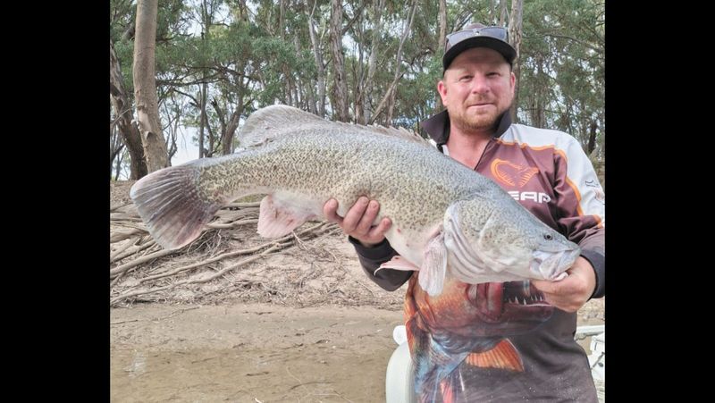 Fishing Report -January 16, 2025 post image