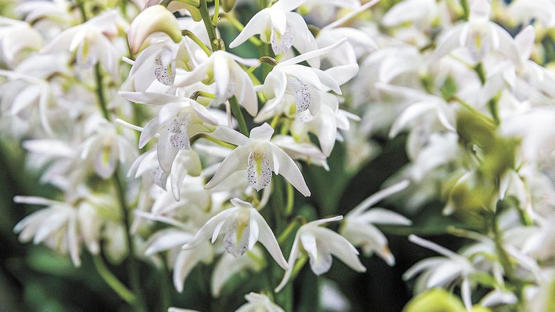 Get Your Bulb On post image