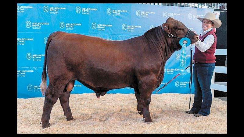 Back-to-Back Wins for Maddy post image