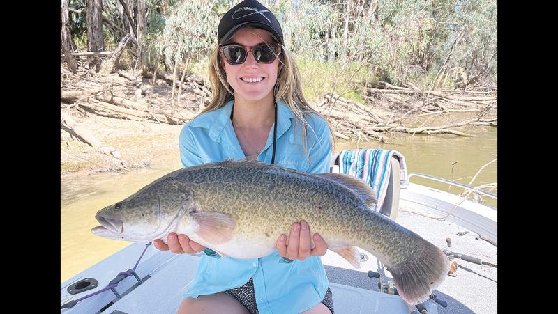 Murrabit Cod Challenge 2024 post image