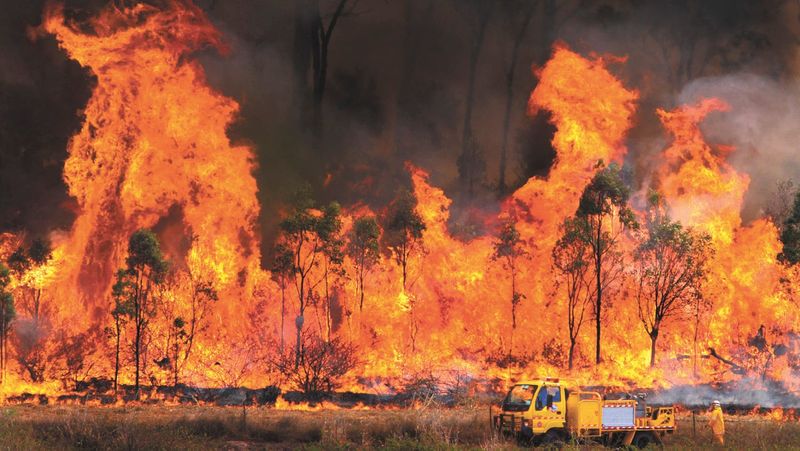 Prepare Now for Fire Season post image