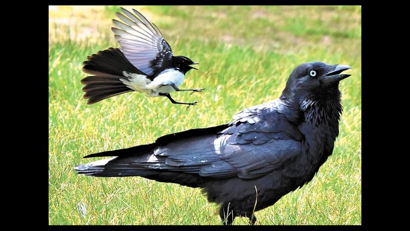 Resolving our Differences post image