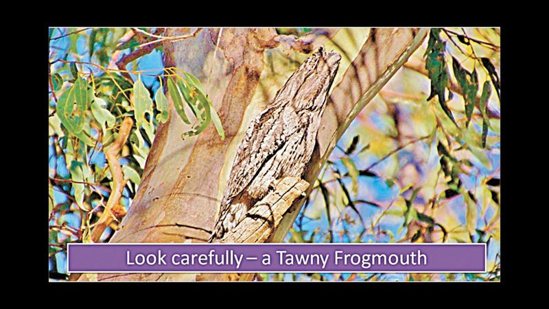 It is not as it seems! post image