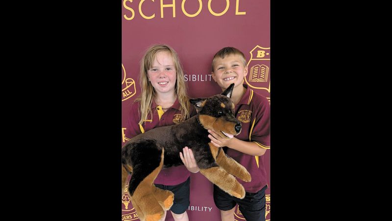 The Barham Public Bulletin post image