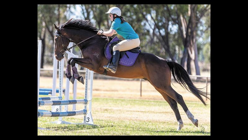 Wakool Show 2024 post image
