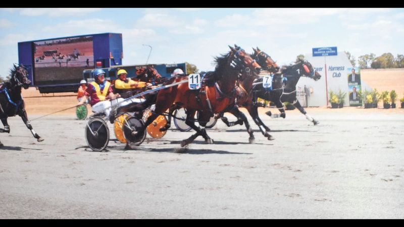 Hot to trot after 100 years post image