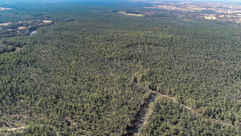 $500,000 for Forestry Transition post image