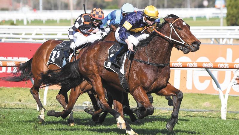 Great day at Caulfield for Jye post image