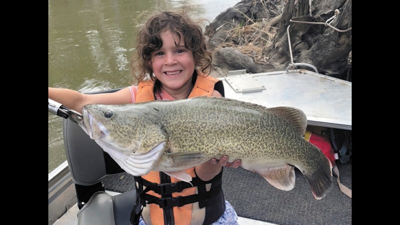 Fishing Report - July 11, 2024 post image