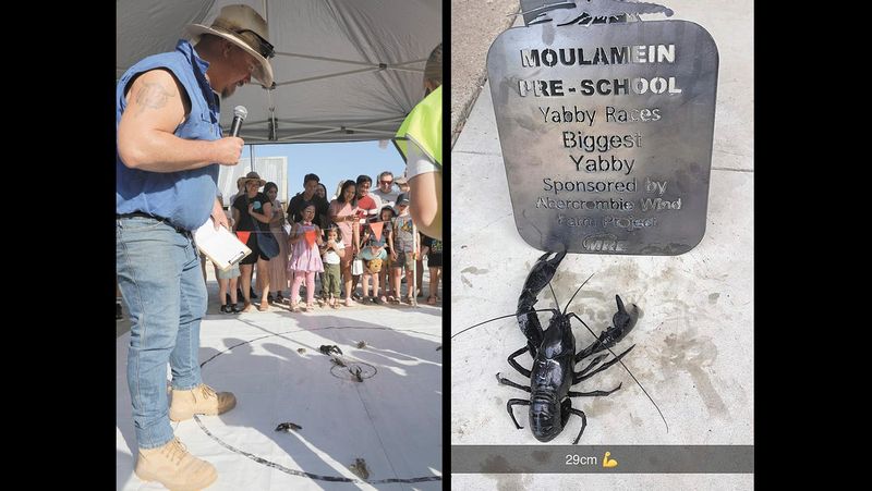 Yabby Races Break Records post image