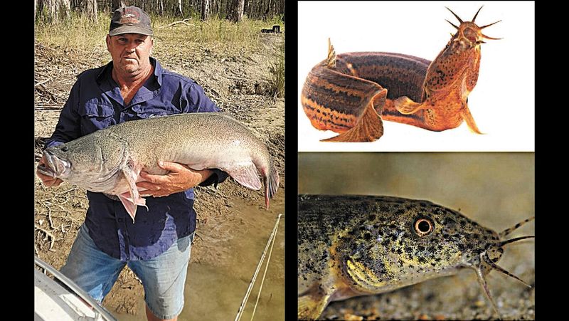 Fishing Report - January 18, 2024 post image