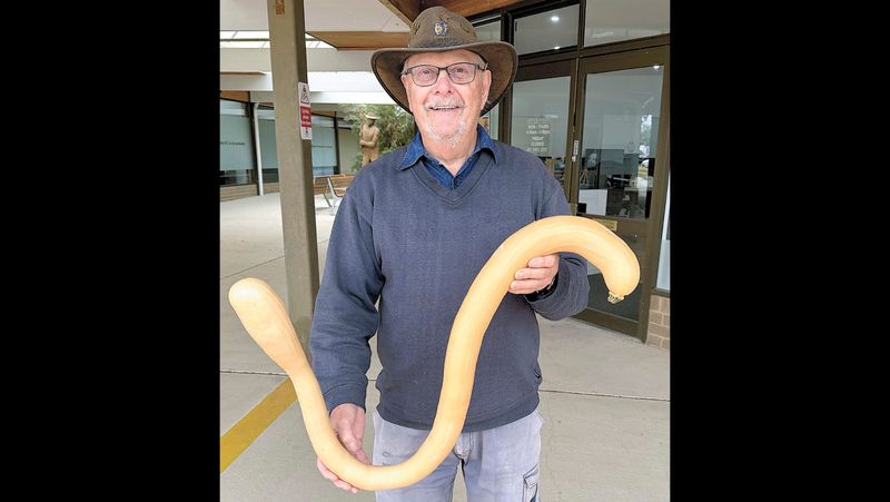 Zucchini wowsers! post image