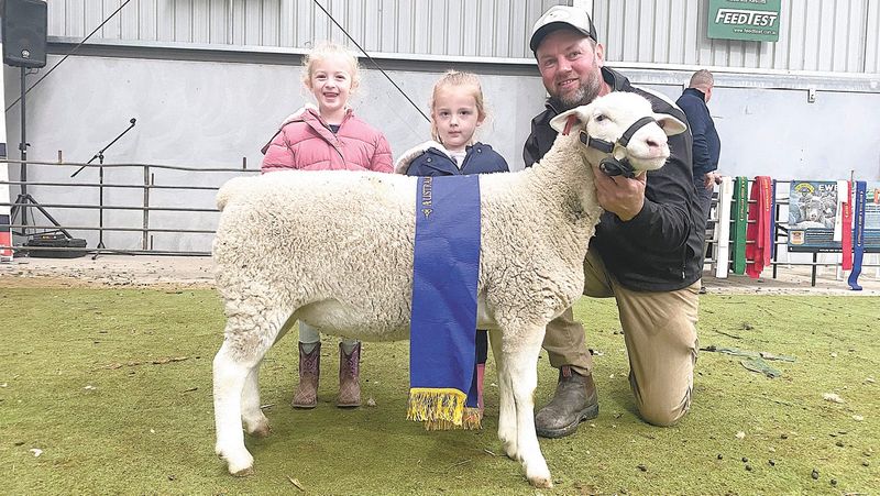 Top Honours for Wakool Sheep Breeders post image