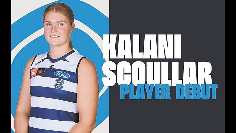 Kalani’s Cats Debut post image