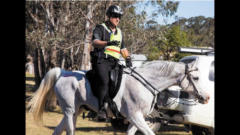 Horsing Around post image