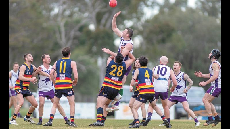 Raiders put up Brave Fight post image