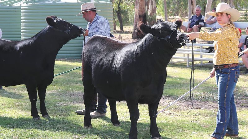Cohuna Shows its Best post image
