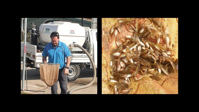 Moulamein Notebook- May 30, 2024 post image