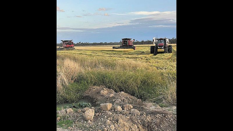 Rice Crop Aids Footy Club at Moulamein post image