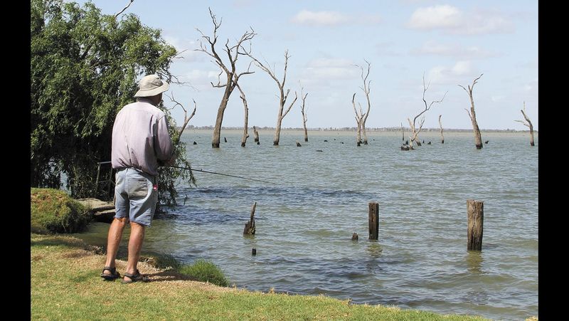 Kow Swamp releases increased post image