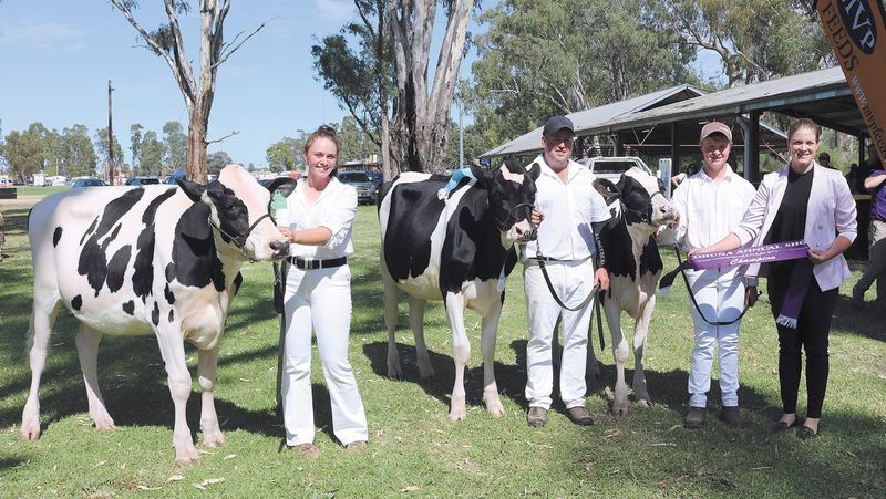 Cohuna Shows 110th still strong post image