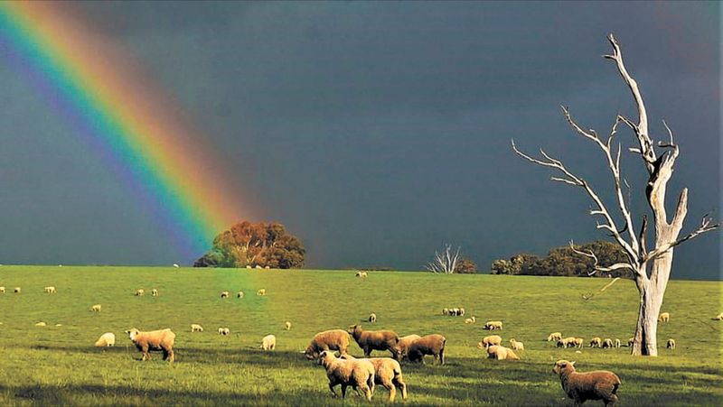 Thunder, Lightning, then a Rainbow! post image