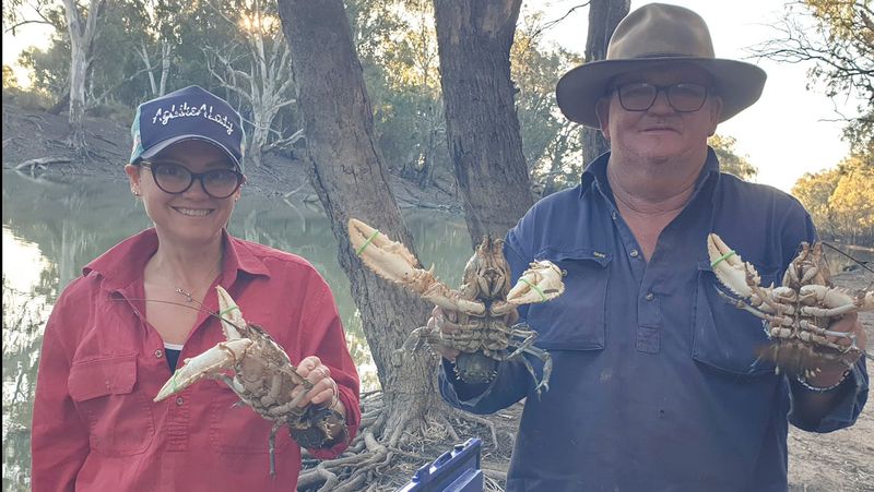 Moulamein Notebook- July 11, 2024 post image