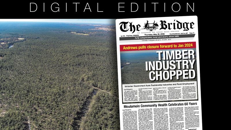 Thursday, May 25, 2023 post image