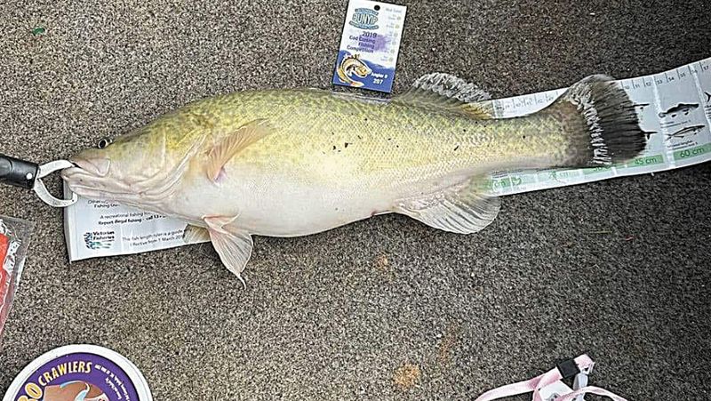 Cod Closing Competition Concluded post image