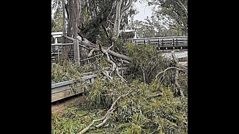 Wild Weather post image