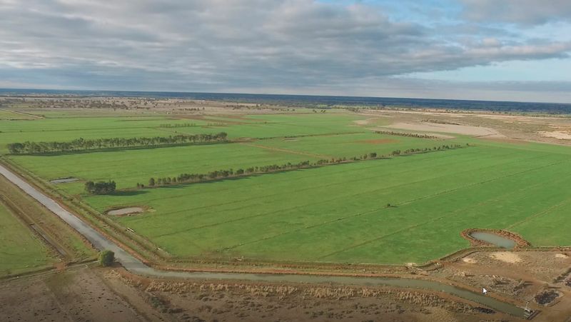 Council opposes Basin water buybacks post image