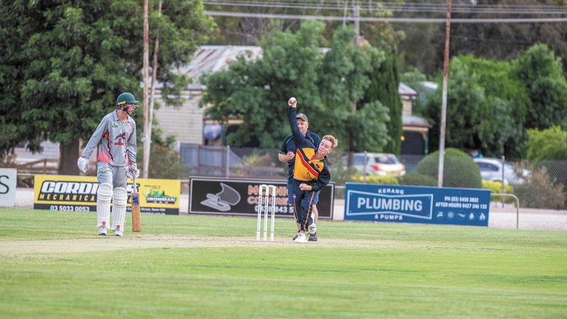 Cricket Round Up post image