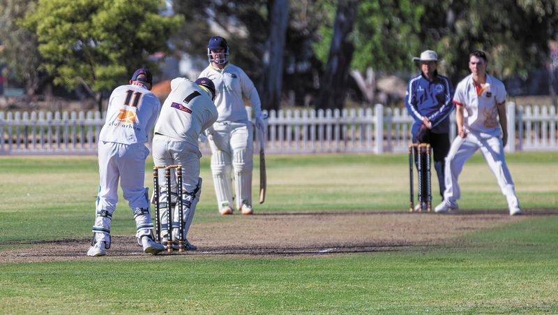 Local Cricket Wrap post image